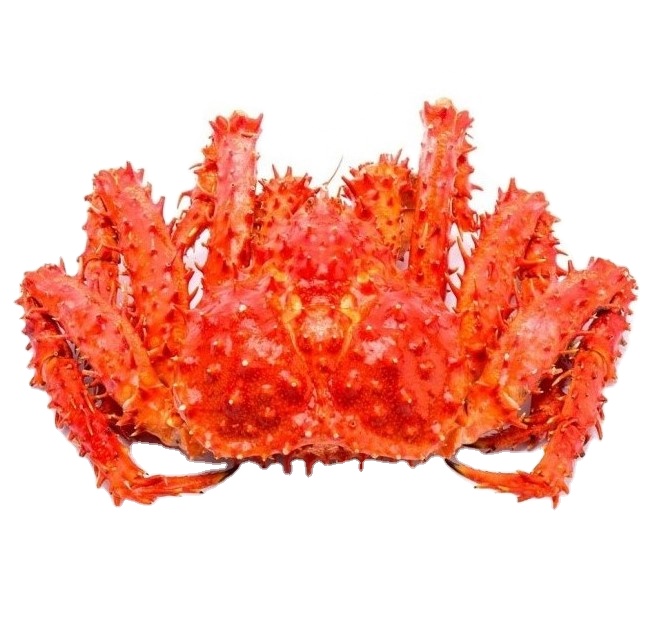 PREMIUM FROZEN KING CRAB 1200GM TO 1400GM