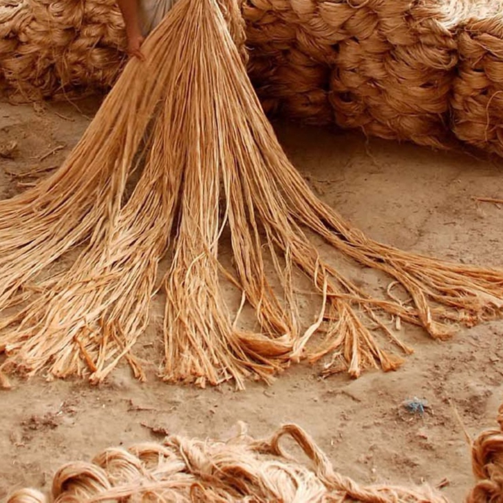 BTE Long Jute