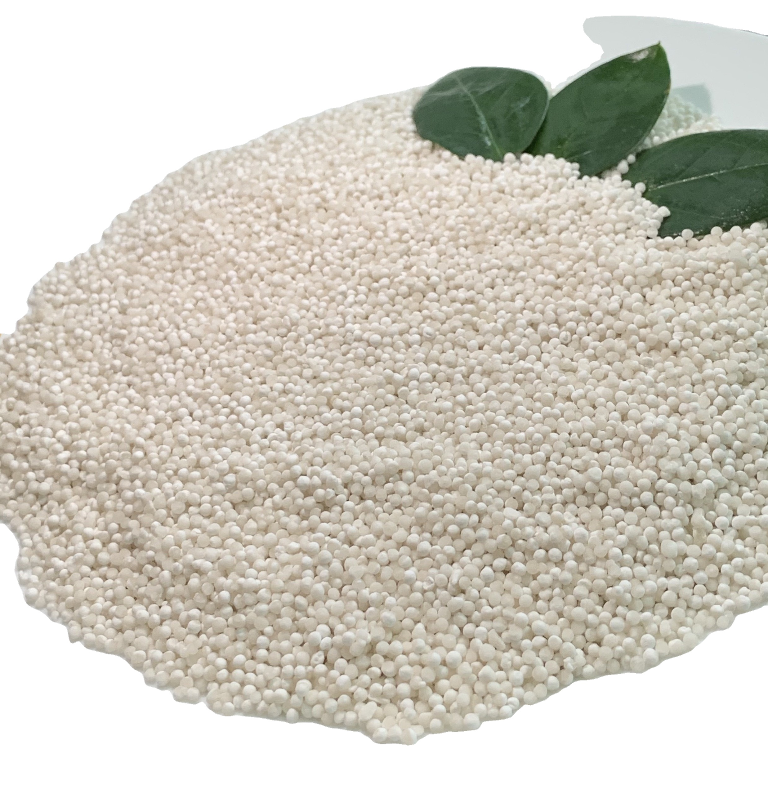 Семена SAGO малого размера от TAPIOCA из Вьетнама
