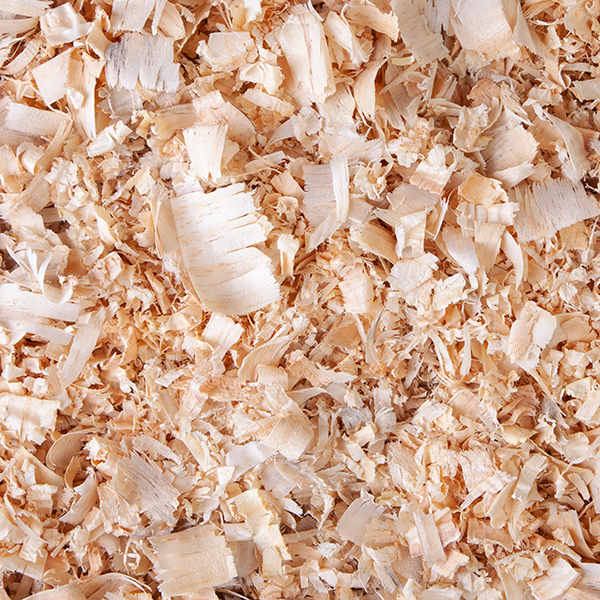 PINE WOOD SAWDUST/PINE TREE WOOD DUST/PINE WOOD SHAVINGS FROM AUSTRIA