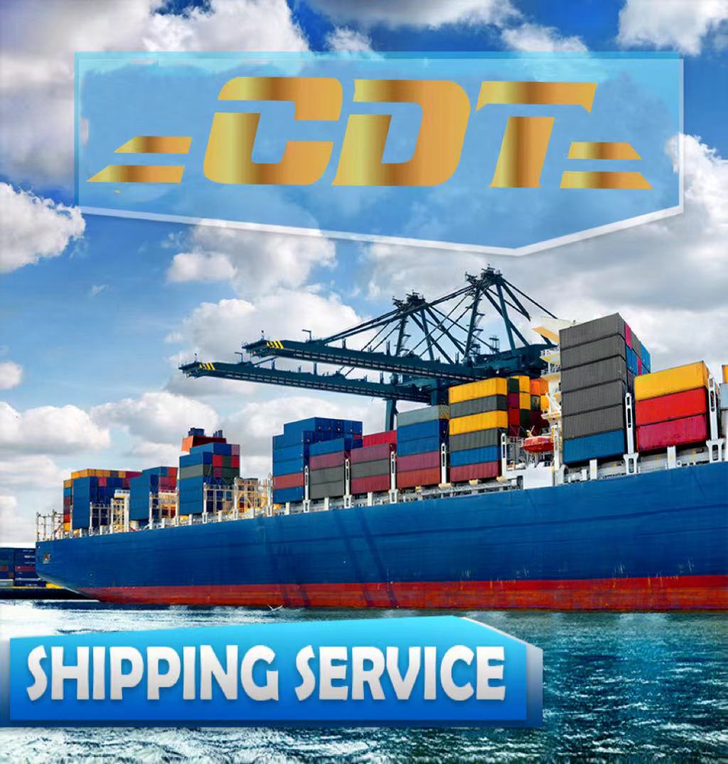 China sea shipping agent to India FBA Amazon special line shipping line