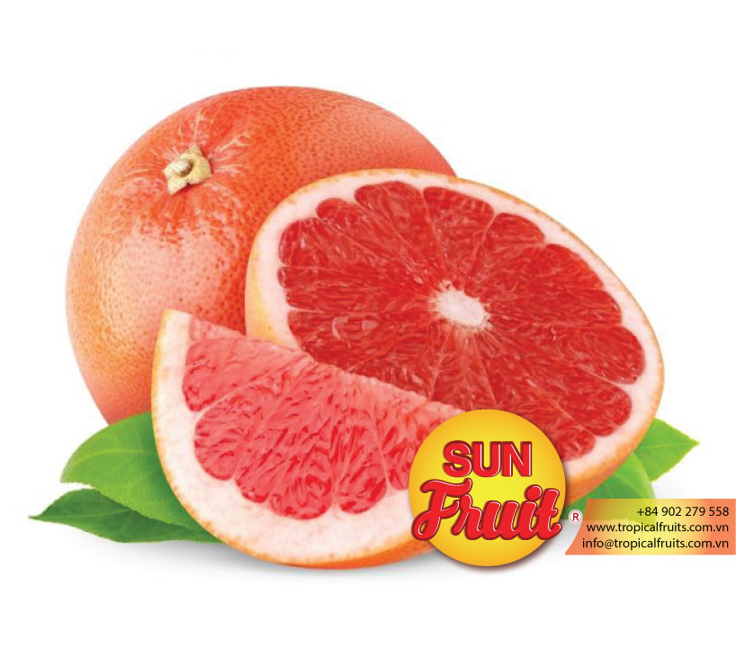 Вкусные Свежие фрукты Pomelo оптом