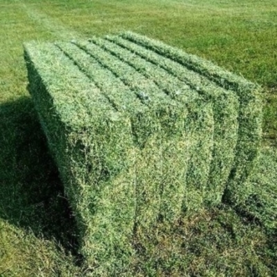 Корм для животных, мука Alfalfa, сено Alfalfa