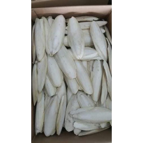 Cuttlebones