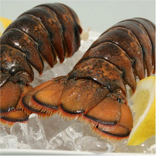 Live Lobster, Spiny Lobster, Frozen Lobsters Bulk Suppliers Box Packaging Natural with 24 Months Shelf Life 5 Cm Mexican Lobster