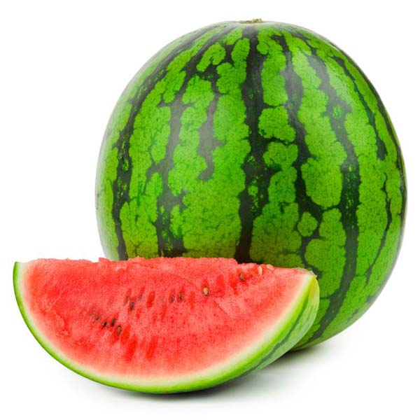 Fresh Watermelon / Seedless Watermelon Wholesale