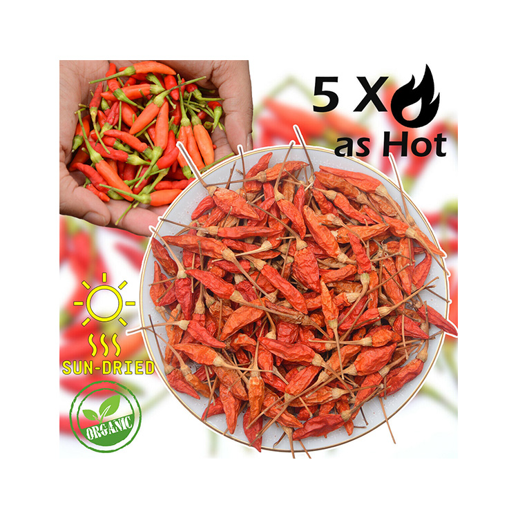 Оптовый Поставщик удлиненной формы «Птицы глаз» Red Chilli по минимальной цене
