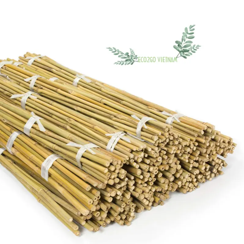 Top Seller and Hot Trend Bamboo Stick For Plant/ Bamboo Stick For Garden With High Quality and Good Price from Eco2go Vietnam