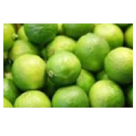High Quality Fresh LIME Ready to Ship