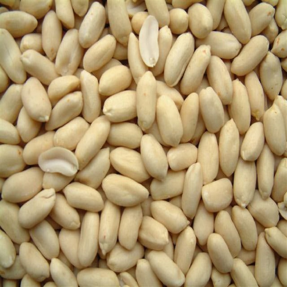 high quality blanched peanuts with hot selling