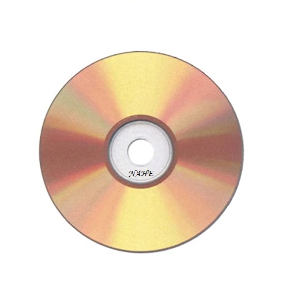 12 см Чистый DVD 4,7 ГБ шелкография