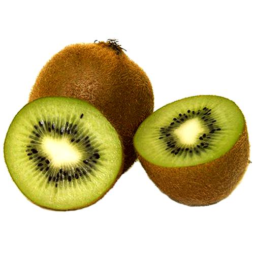 Good Price Fresh Kiwi for Sale