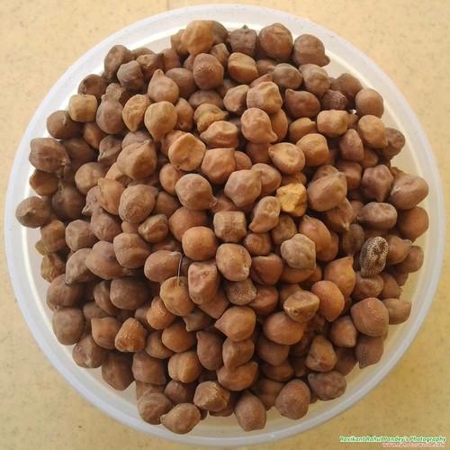 Kabuli нут desi, нут, органический ГМО, лучшее качество