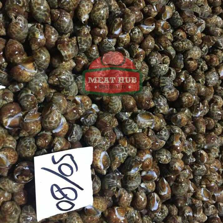 Top shells
