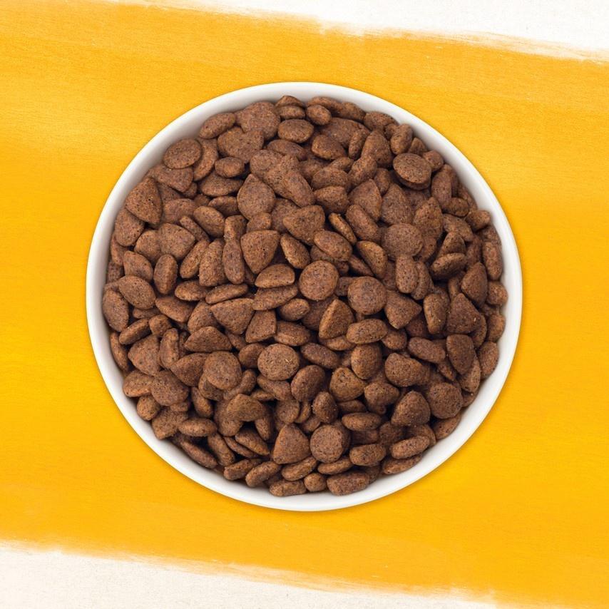 Корм для домашних животных Purina