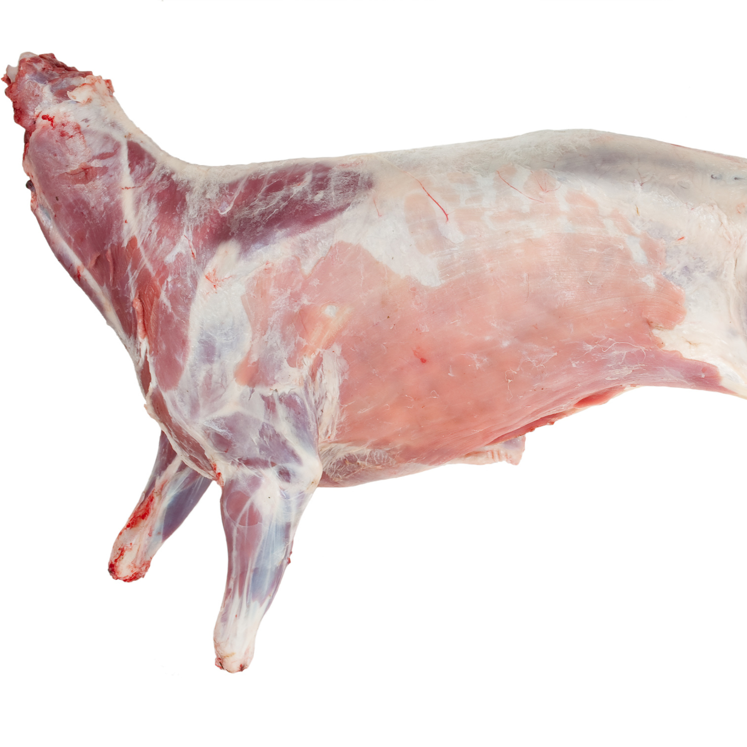 Halal Frozen Mutton