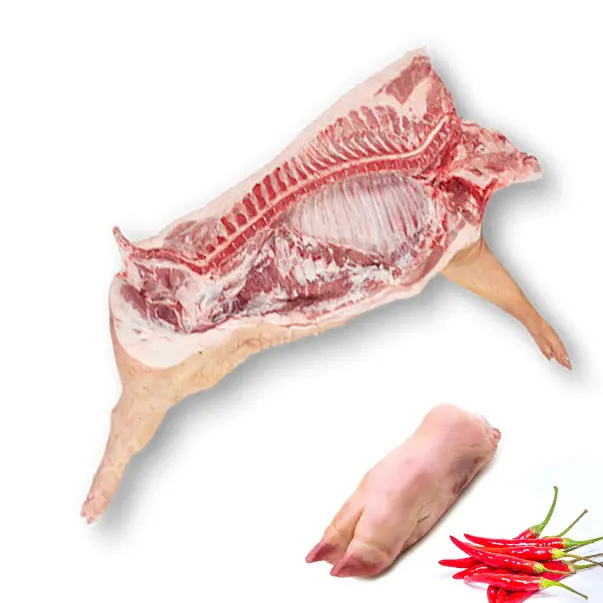 Frozen Pig Front Foot Grade A, Pork Foot Grade A, Frozen Pork Feet Grade A