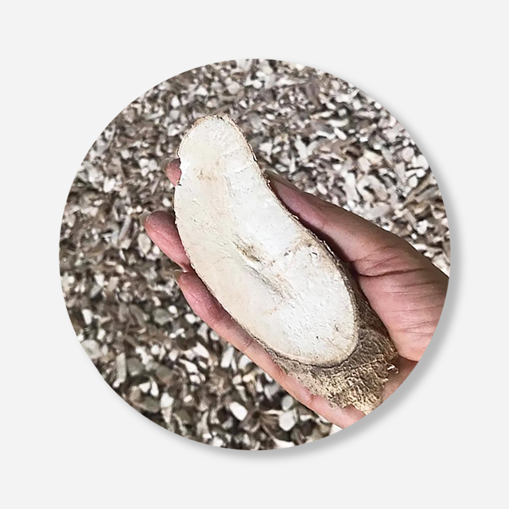 Best Seller Dried Cassava Chips For Food Industry or Making Animal Feed and Ethanol