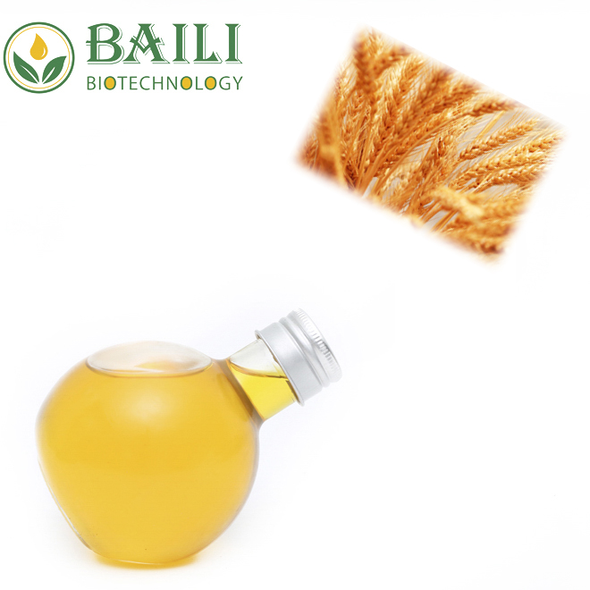 Wholesale factory price wheat germ oil refined HACCP GMP