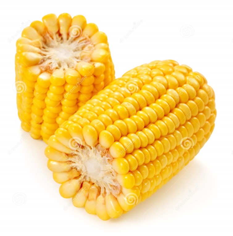 Yellow Maize/Yellow Corn Chicken Feed Prices/Animal and Bird Feed