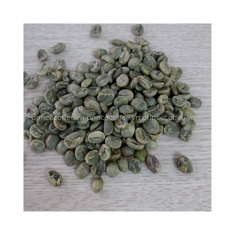 Vietnnam NEW PRODUCT Green Coffee Beans HIGH GRADE 18 scr Green Coffee Beans Raw Coffee