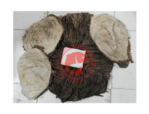SALTED BUFALO OMASUM