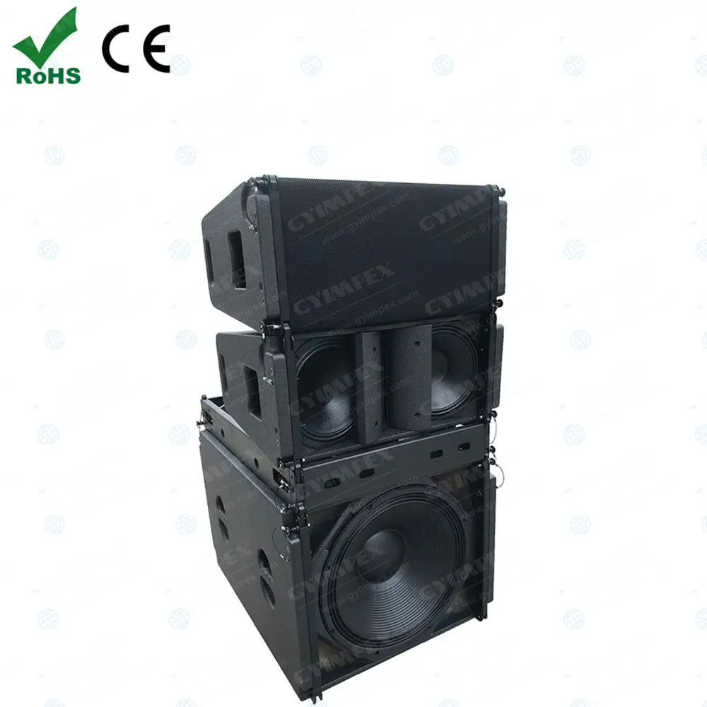 gyimpex audio VR20 Pro 12 inch line array system active neodymium sound system speaker