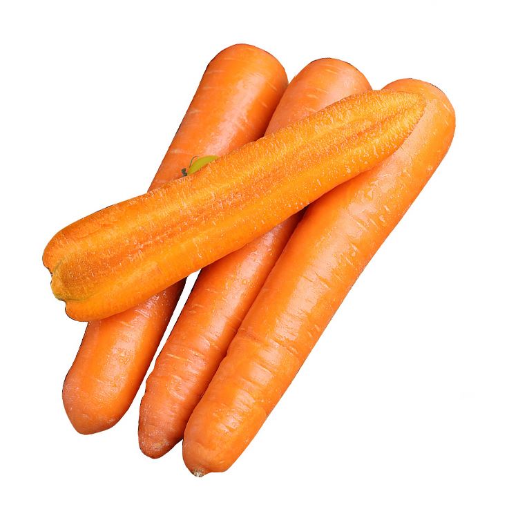fresh carrots exporters in belgium with Good price