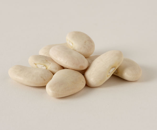 Organic Large Butter Beans