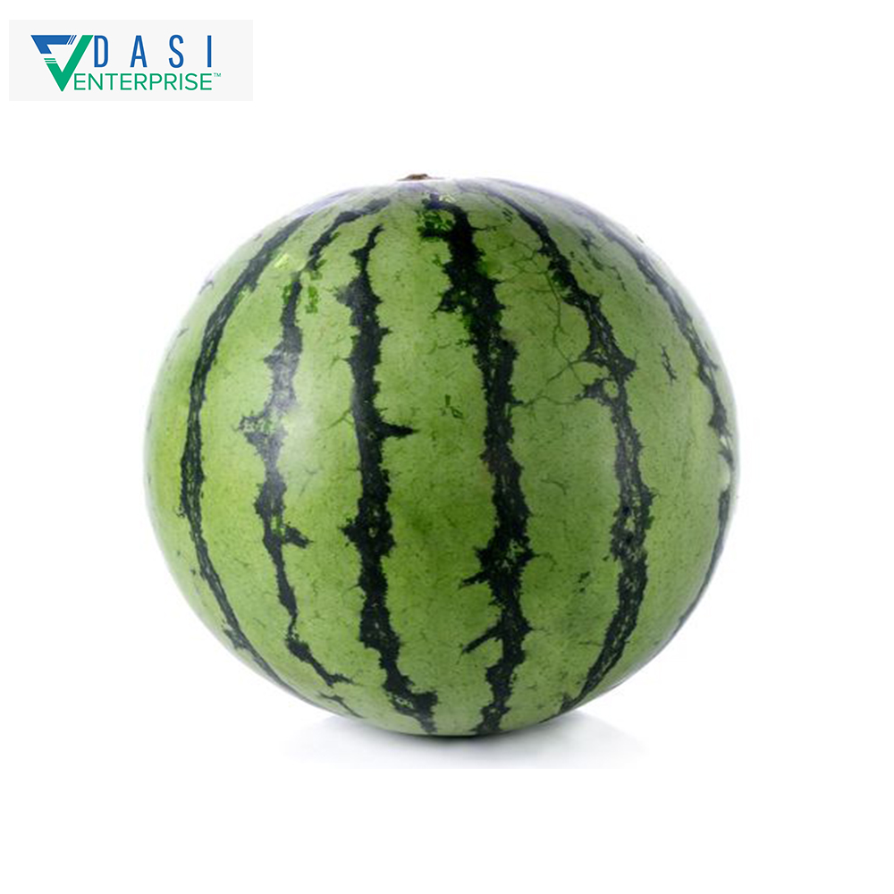 Reputed Dealer Of South Africa's Fresh Juicy Big Round Watermelon Fruit Available At Discount Price