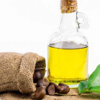 Camellia Seed Oil