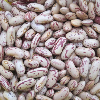 Легкая зернистая фасоль/Pinto Beans/Sugar Beans