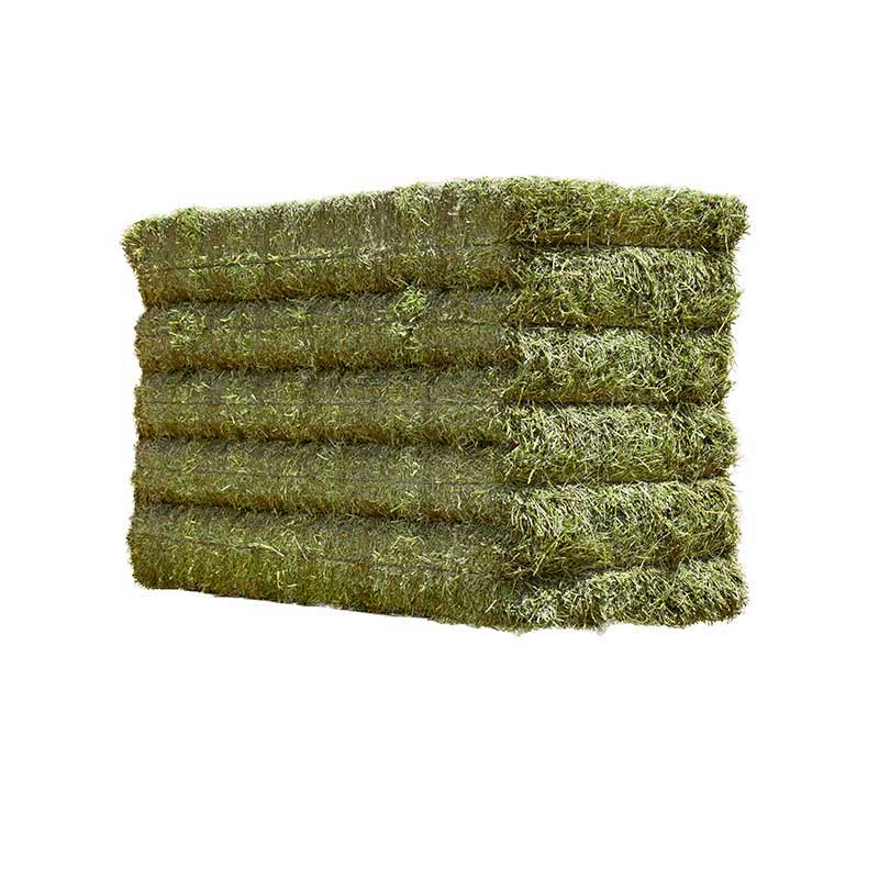 T&H premium quality alfalfa hay