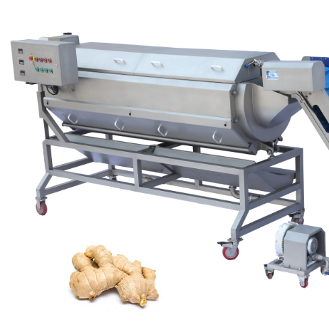 China stainless steel ginger vegetable peeling machine for vegetable fruits rumbler peeler machine