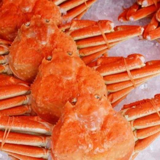 Живые красные крабы короля-замороженные/свежие красные крабы короля/король крабы ножки живые красные крабы для экспорта