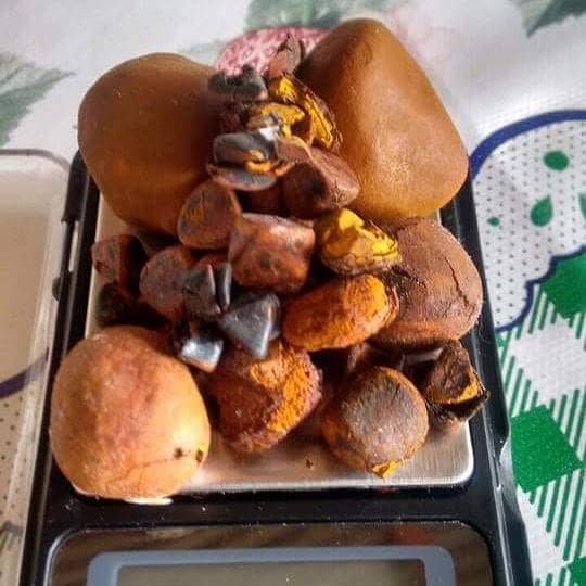 Best Grade Cow Ox Gallstones for sale