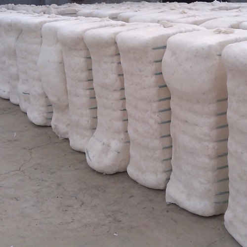 Grade A 100% Organic Raw Cotton