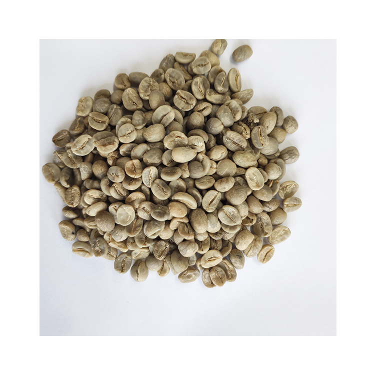Bulk Stock Genuine Quality 13% Moisture Green Arabica Coffee Beans at Market Price