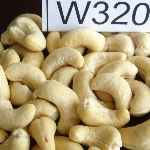 Cashew Nuts WW450 W180/ W320/ W240/ LP/ SP good material for EU quality AFI standard