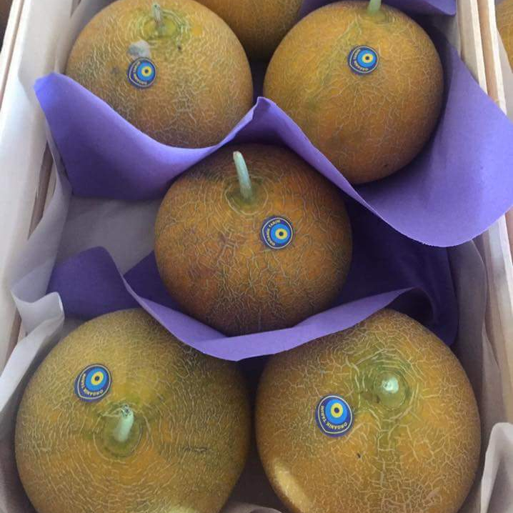 VIETNAM FRESH SWEET CANTALOUP