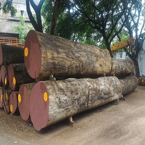 IROKO / Hard Wood Timber for sale