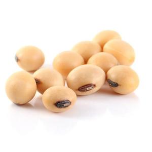 С высоким содержанием белка NON-GMO соевых бобов