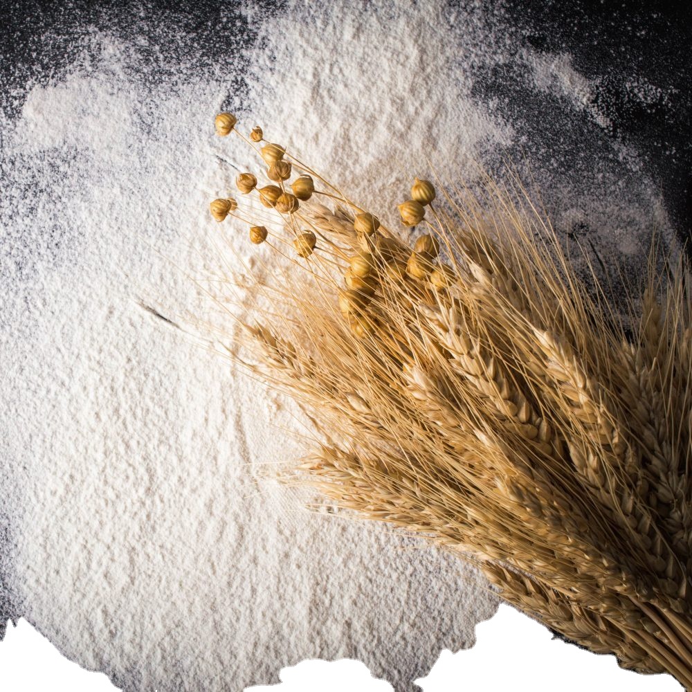 Best Quality Whole Wheat Flour Price Ukraine, Russia & Indian Origin
