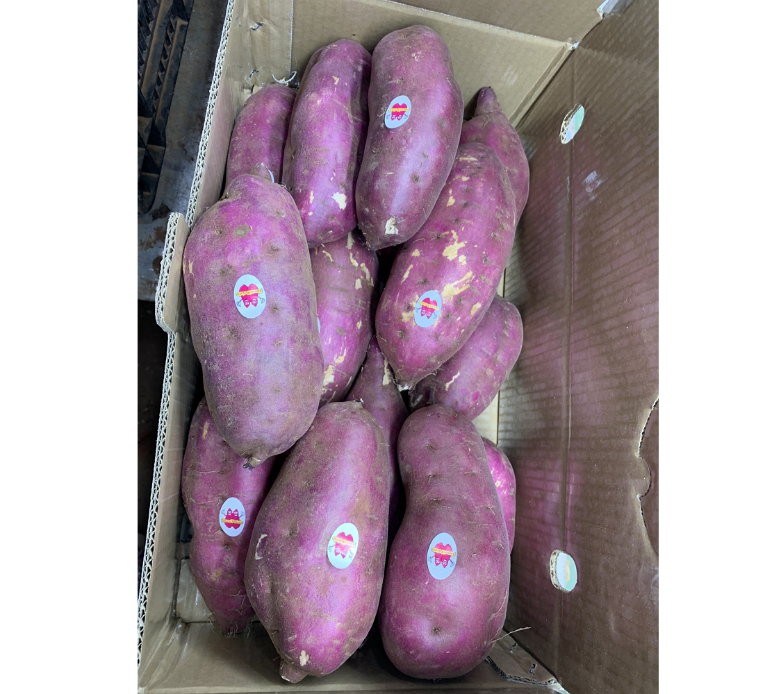 Best Quality Purple Sweet Potato Organic Fresh Potato From Vietnam