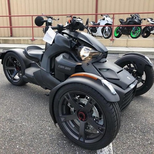 Новые скидки, распродажа 2021, Can-AmRyker Rally Edition 900 ACE