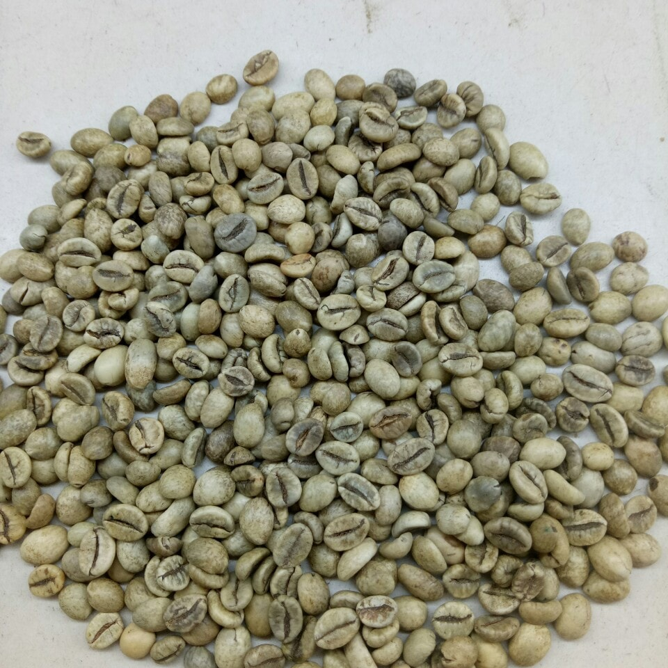 Кофе-экран ROBUSTA 16
