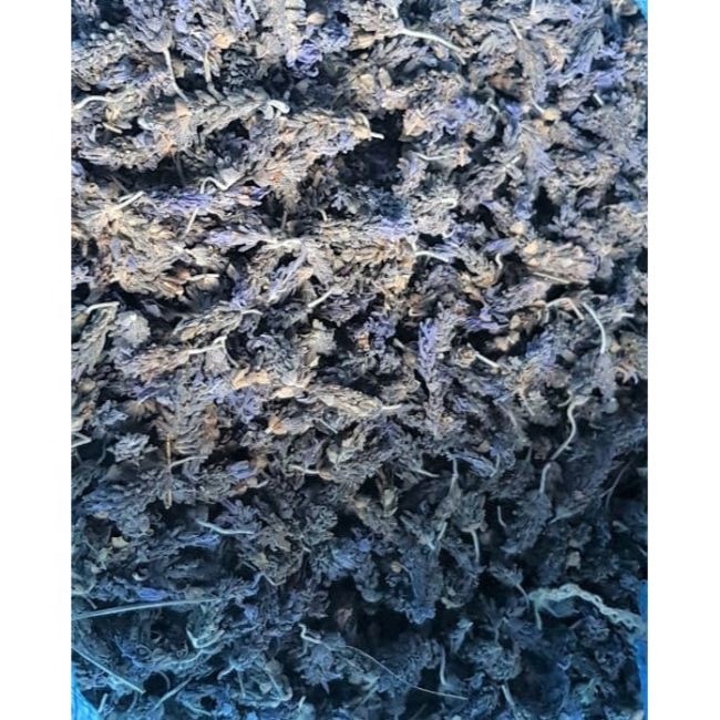 Dry Lavender