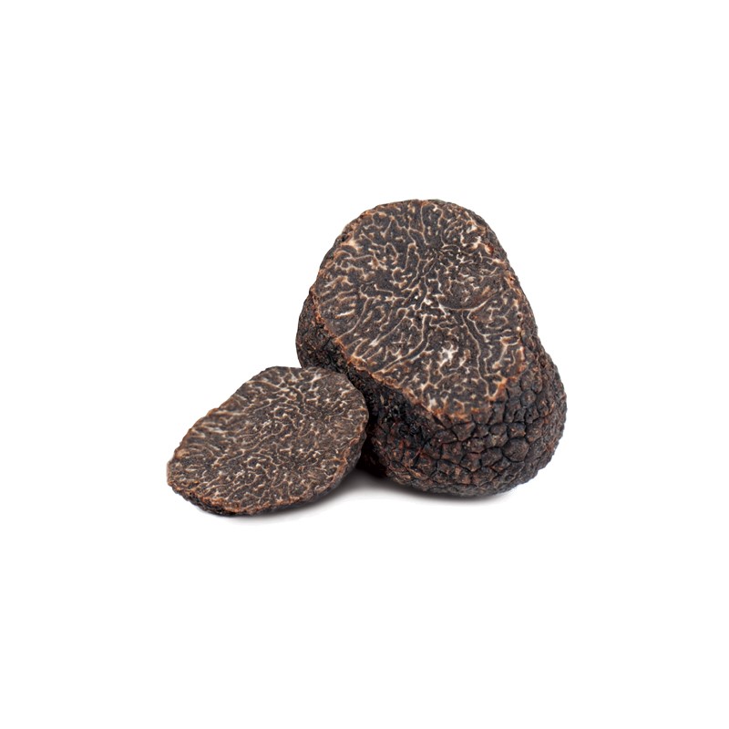 Italian Fresh Black winter truffle Melanosporum for best dishes