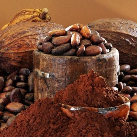 Natural Cocoa Powder / Alkalized Cocoa Powder for sale
