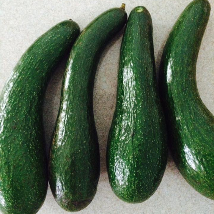PALTA HASS свежие фрукты Hass авокадо для продажи богатый зеленый Премиум тропический перуанский стиль коробка Калибр упаковка свежий с фермы